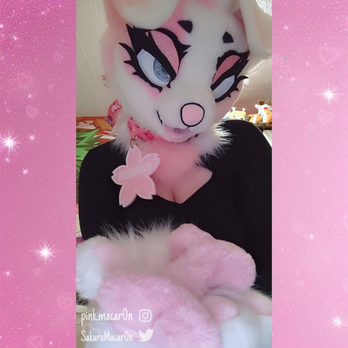 SakuraMacar0n's tweet photo. another #FursuitFirday 💕🦴🌸

#furry #fursuit https://t.co/9zyI7vgYE8