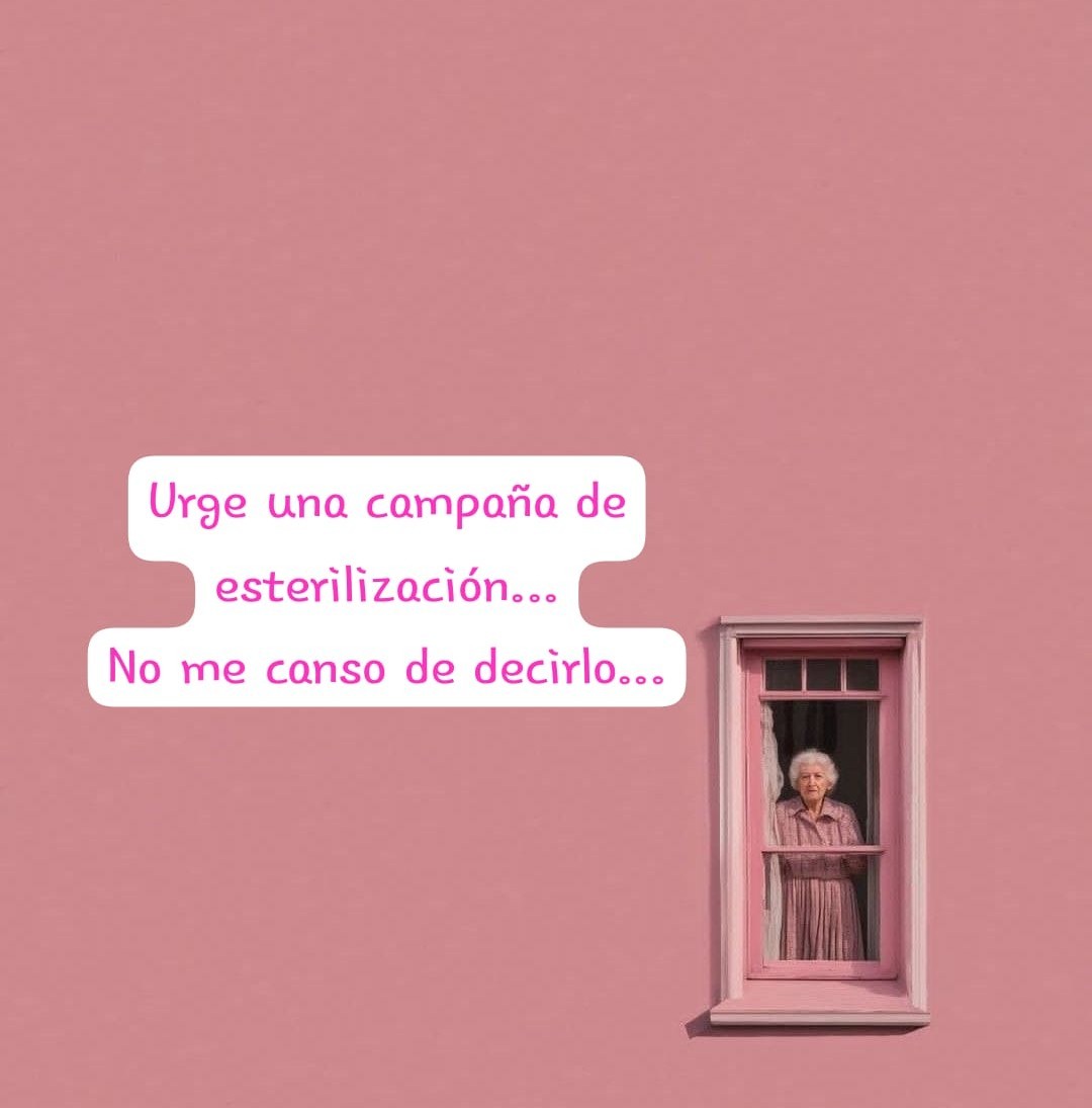 Adrián D. Marfs tweet media