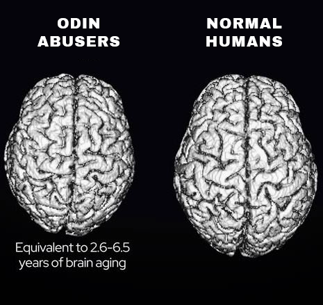 G2 VALORANT tweet media