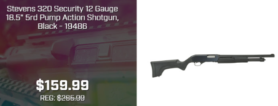 Beyond Seclusion tweet media