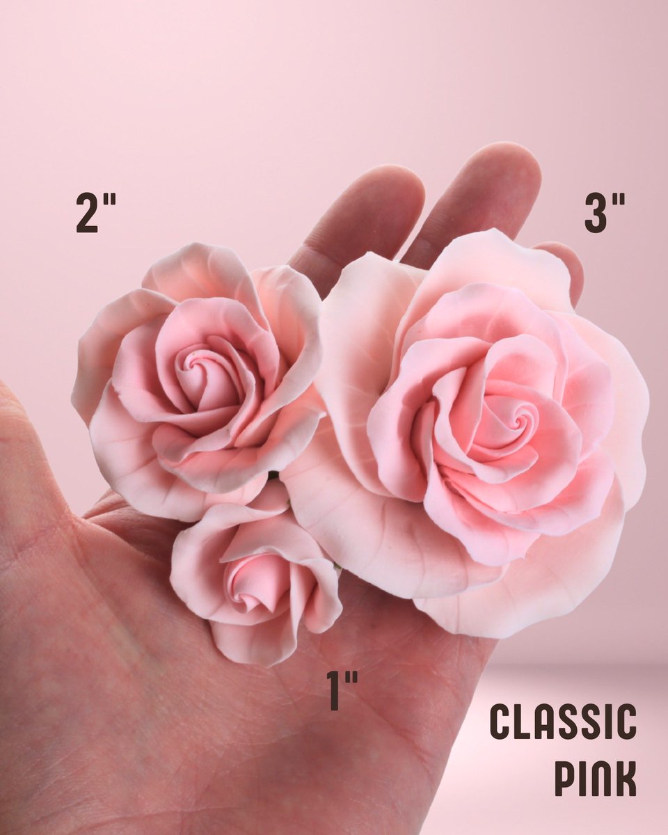 Caljava's tweet photo. Elevate your cakes with timeless elegance 🌹✨
Our handcrafted Garden Rose Sugarflower Cake Toppers add a delicate, romantic touch to any cake—weddings, birthdays, or just because. https://t.co/oZaXhozvJs
#CakeDecorating #SugarFlowers #BakingInspiration #WeddingCakes #caljava https://t.co/rnslWBGr28