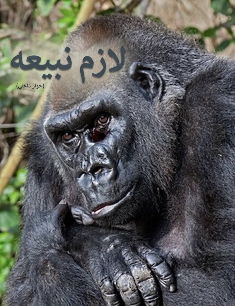 صالح tweet media