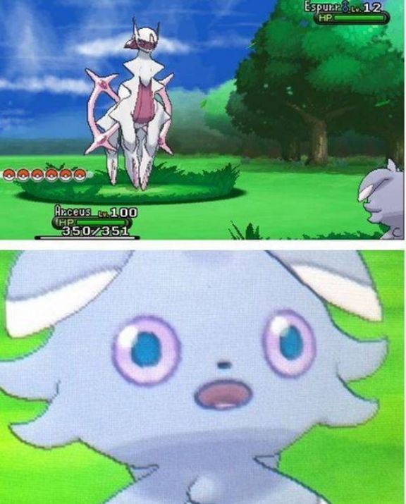 Pokémon Posts tweet media