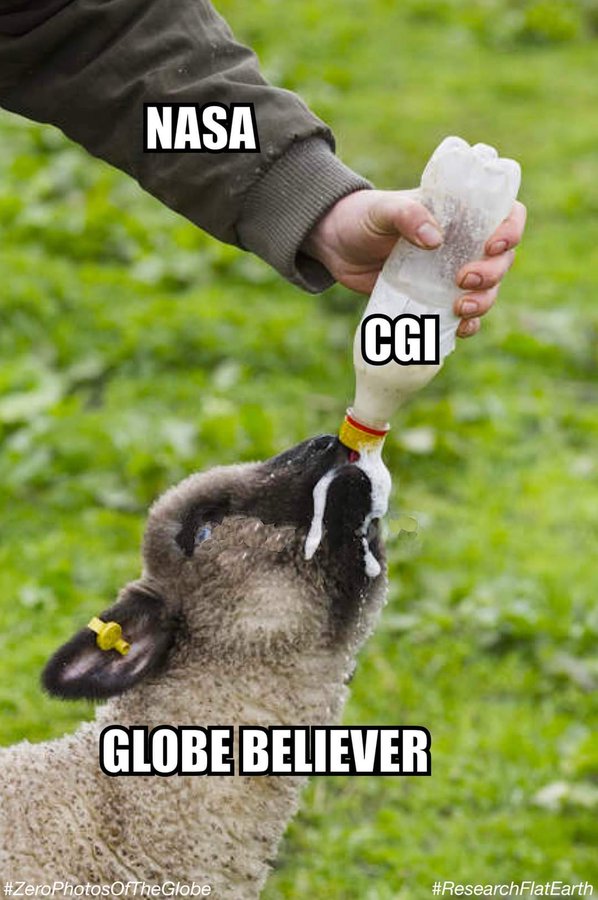 David Freeman tweet media