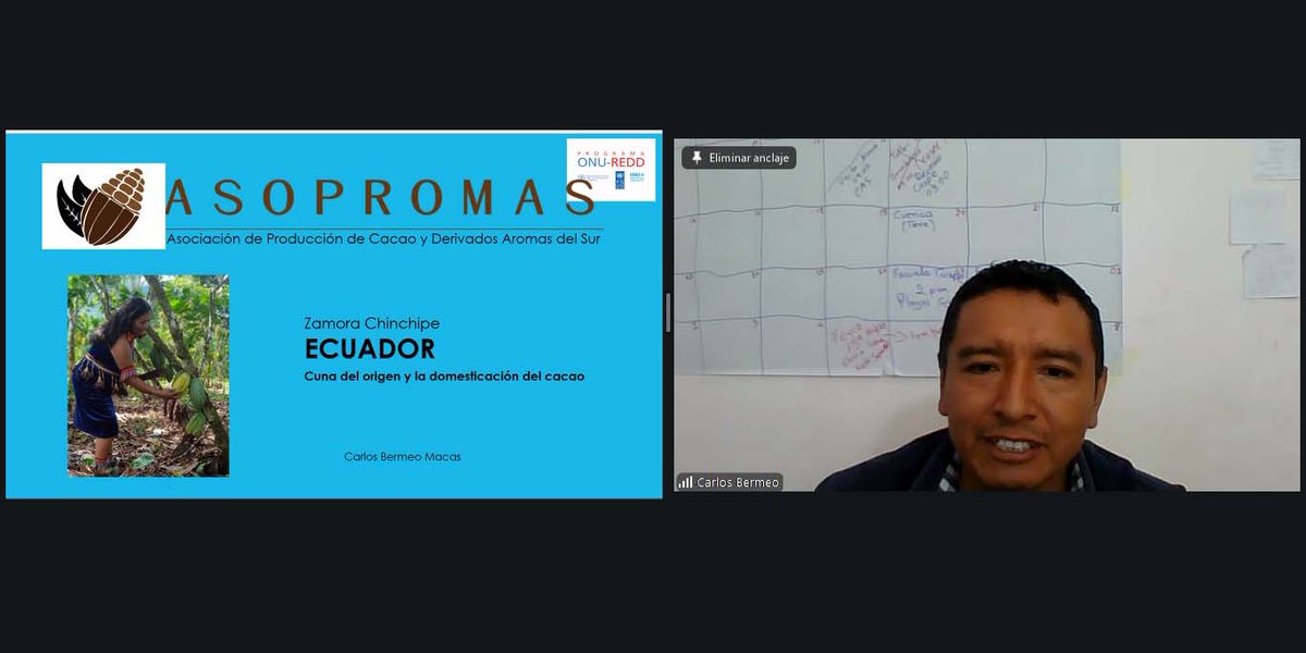 Programa Integral REDD+ tweet media