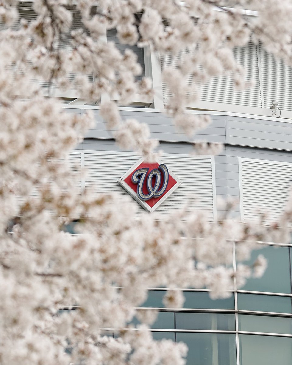 Washington Nationals tweet media
