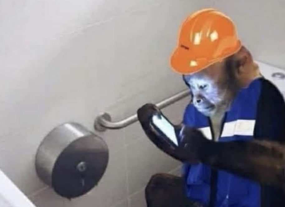 Yo en el baño del jale mandando mi CV a otra empresa