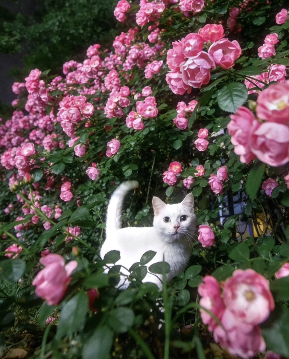 Antidepressant Content tweet media