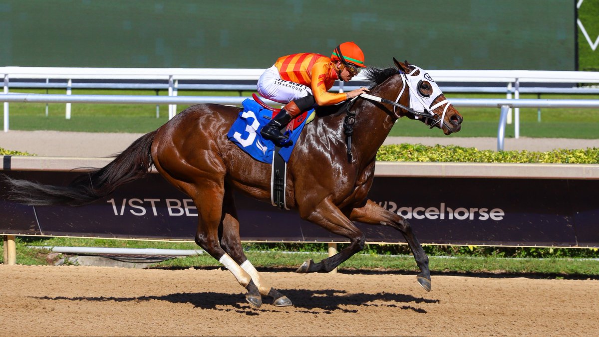 Gulfstream Park tweet media