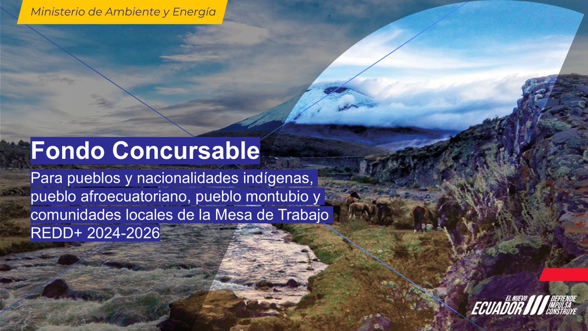 Programa Integral REDD+ tweet media