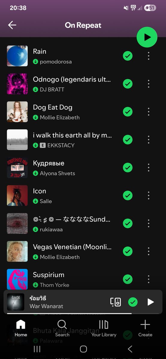 Dizzy Kitty Dragon tweet media