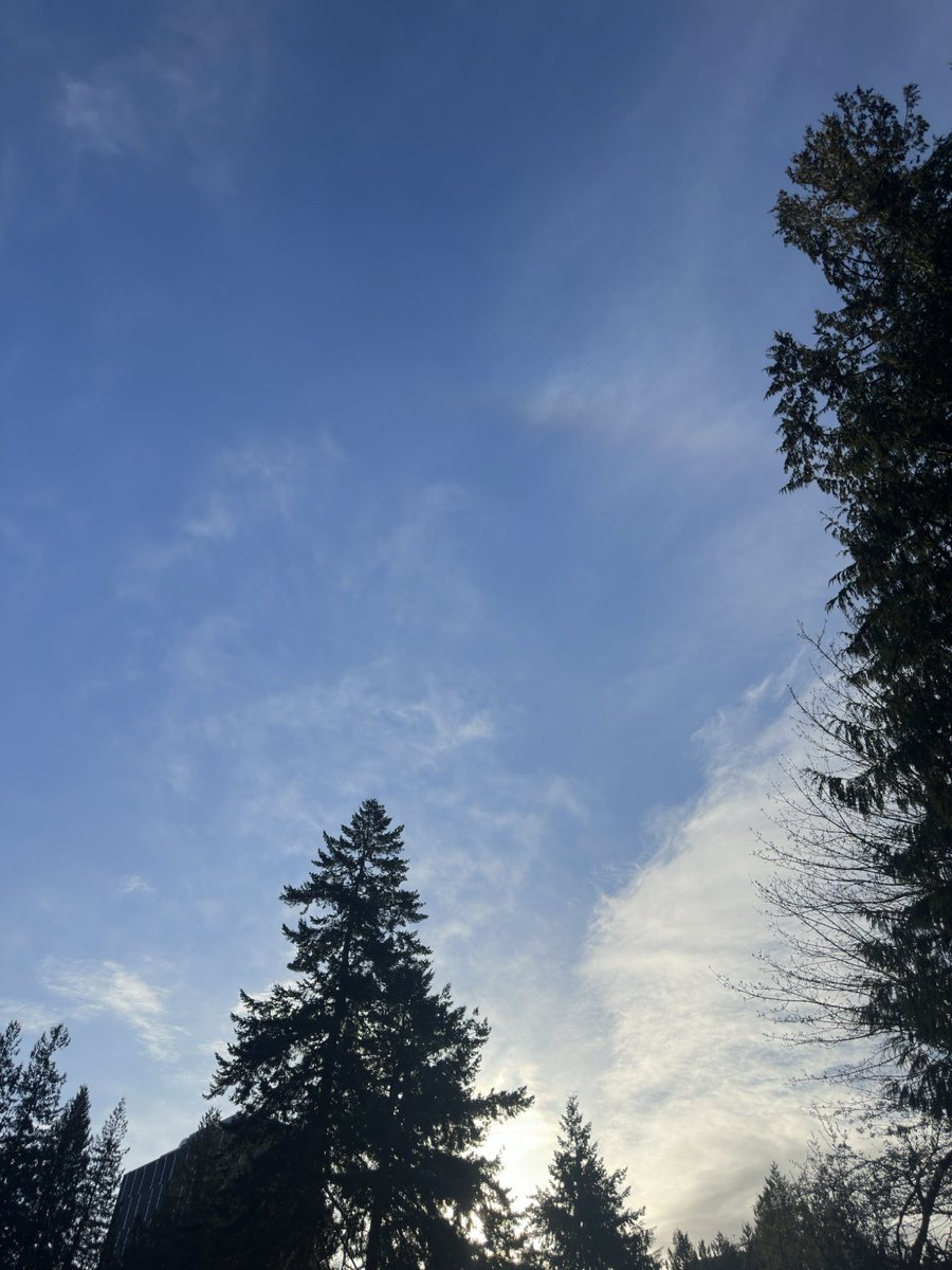 26 Mar. 2026, Vancouver

22° Halo, Parhelia, 46° Halo, Zenith Arc, Supralateral Arc 

All taken on my phone.

It would be a nice display if I had time to do stacks. Sad.
