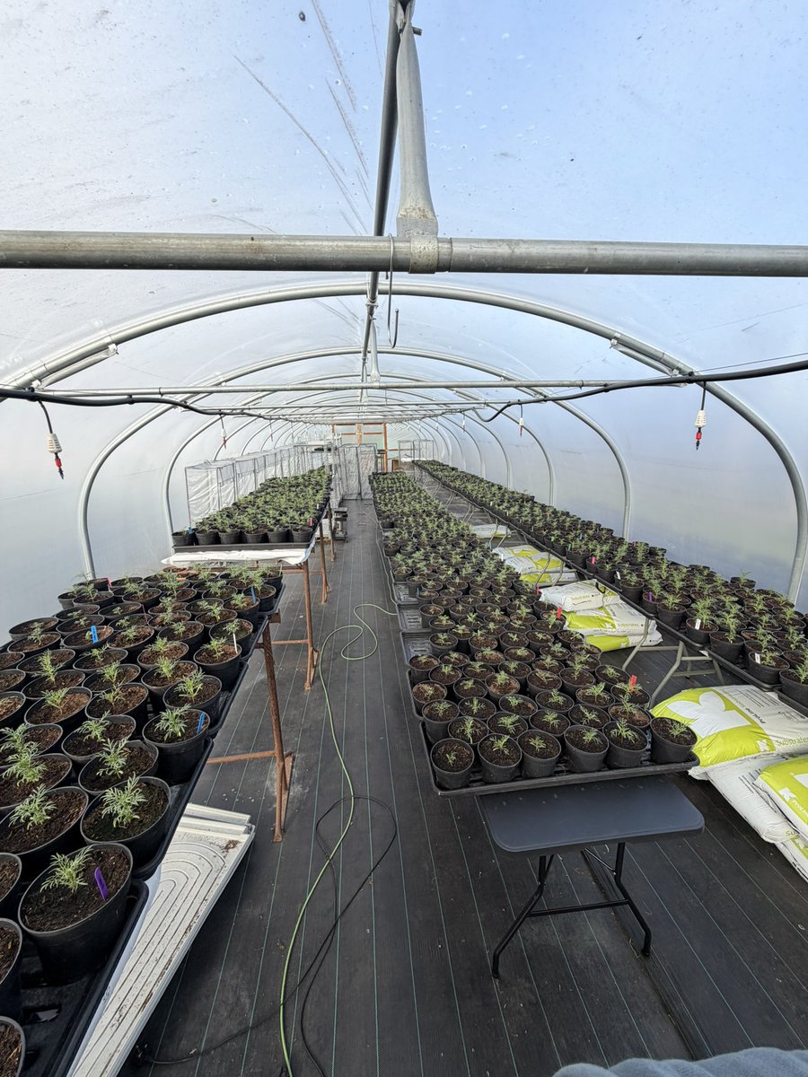 Jonathan Sheppard tweet media