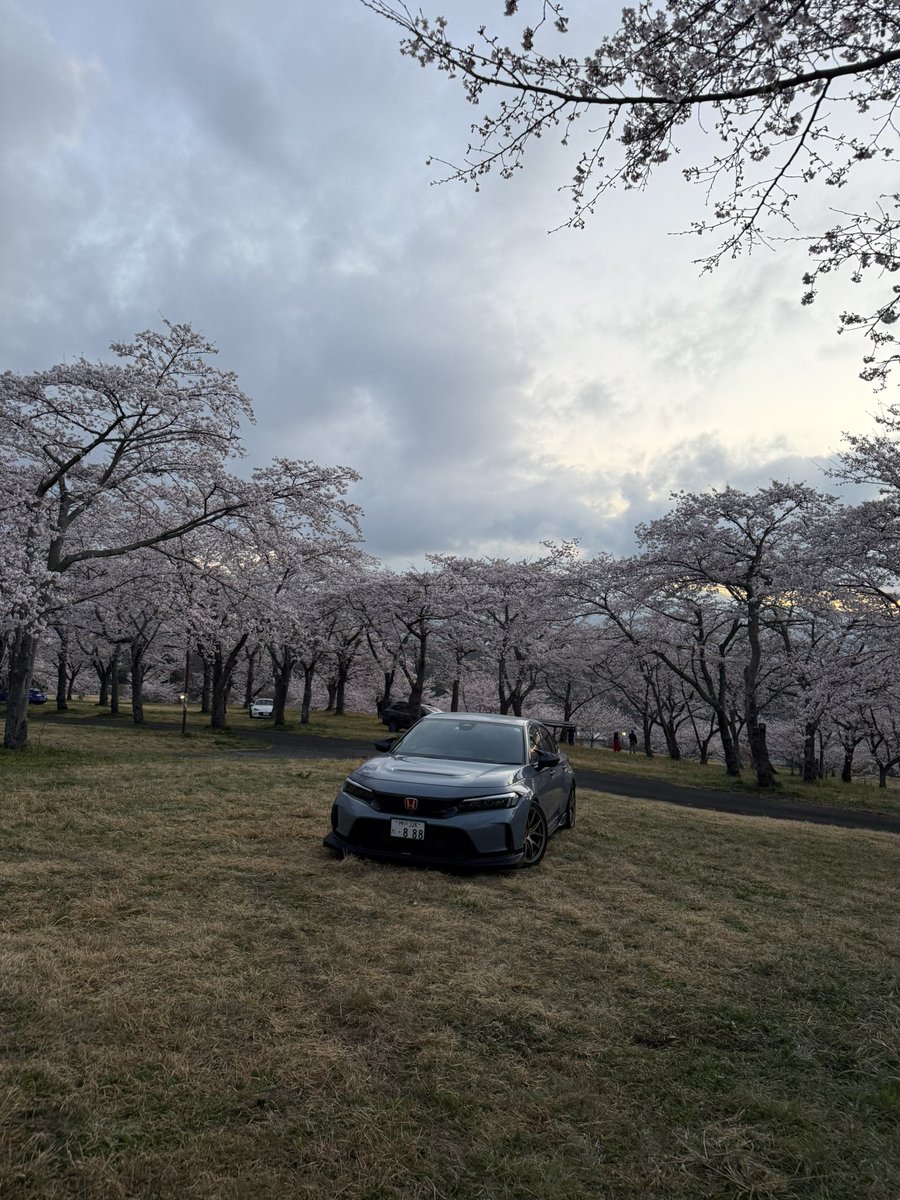 いくぞう🐢 tweet media