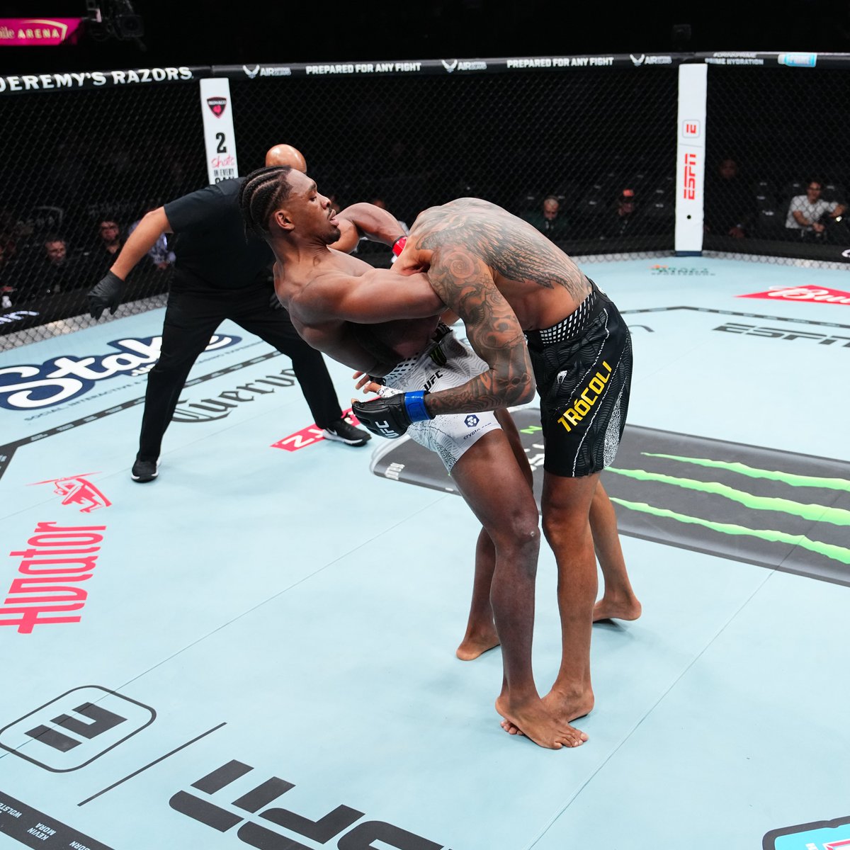 RedWolf🐺 tweet media