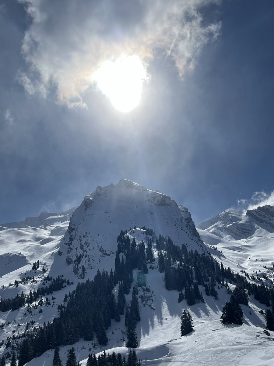 Aya of the Alps tweet media