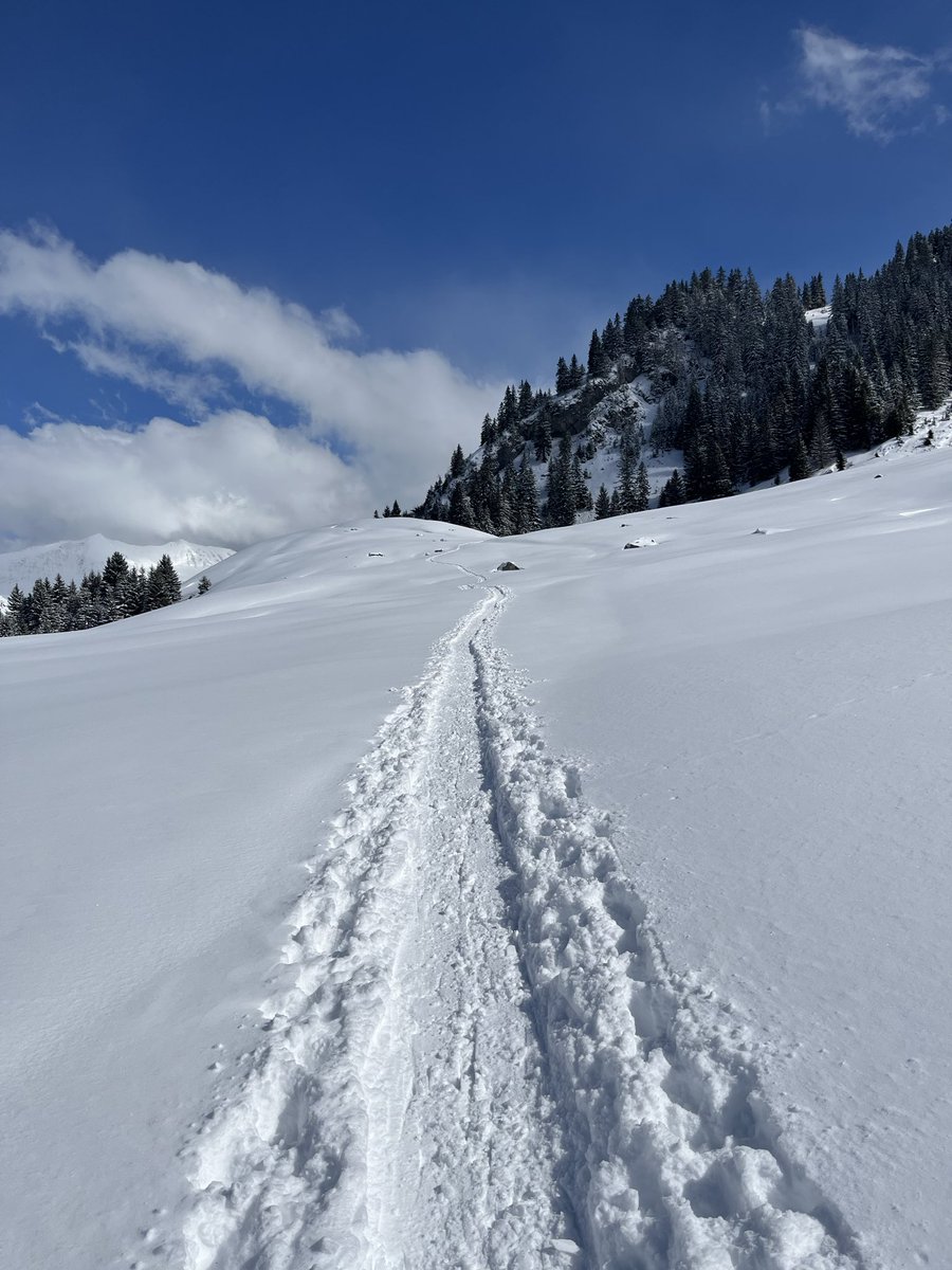 Aya of the Alps tweet media