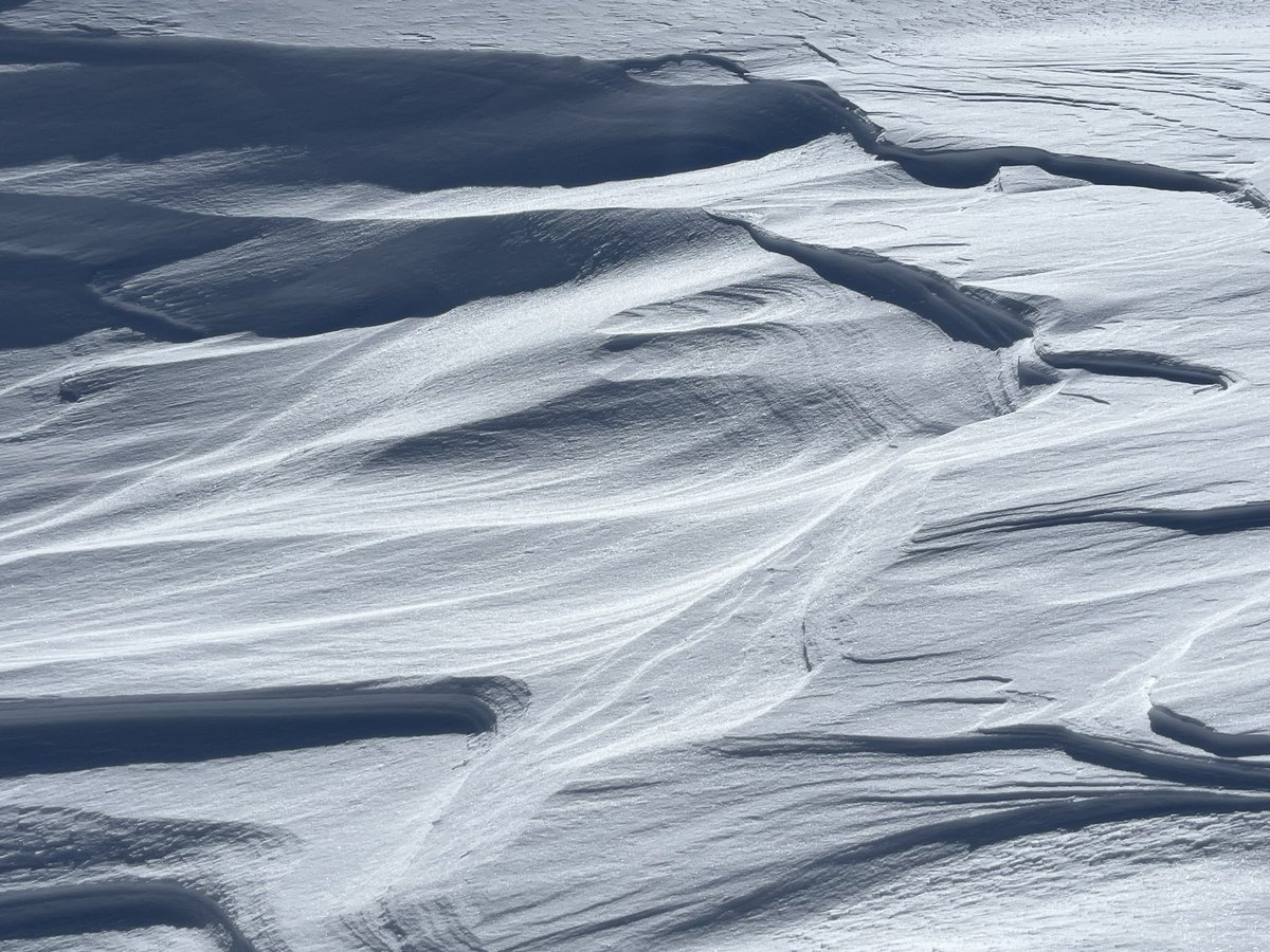 Aya of the Alps tweet media