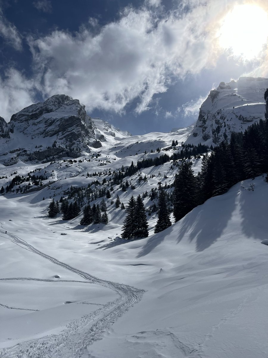 Aya of the Alps tweet media