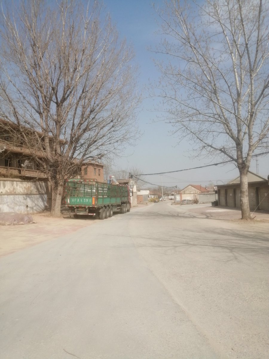 Nghia Nguyen tweet media