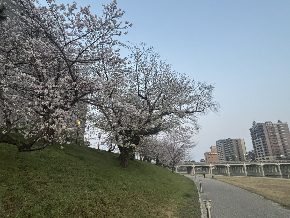 コチロー審神者垢@3/28コスオール tweet media