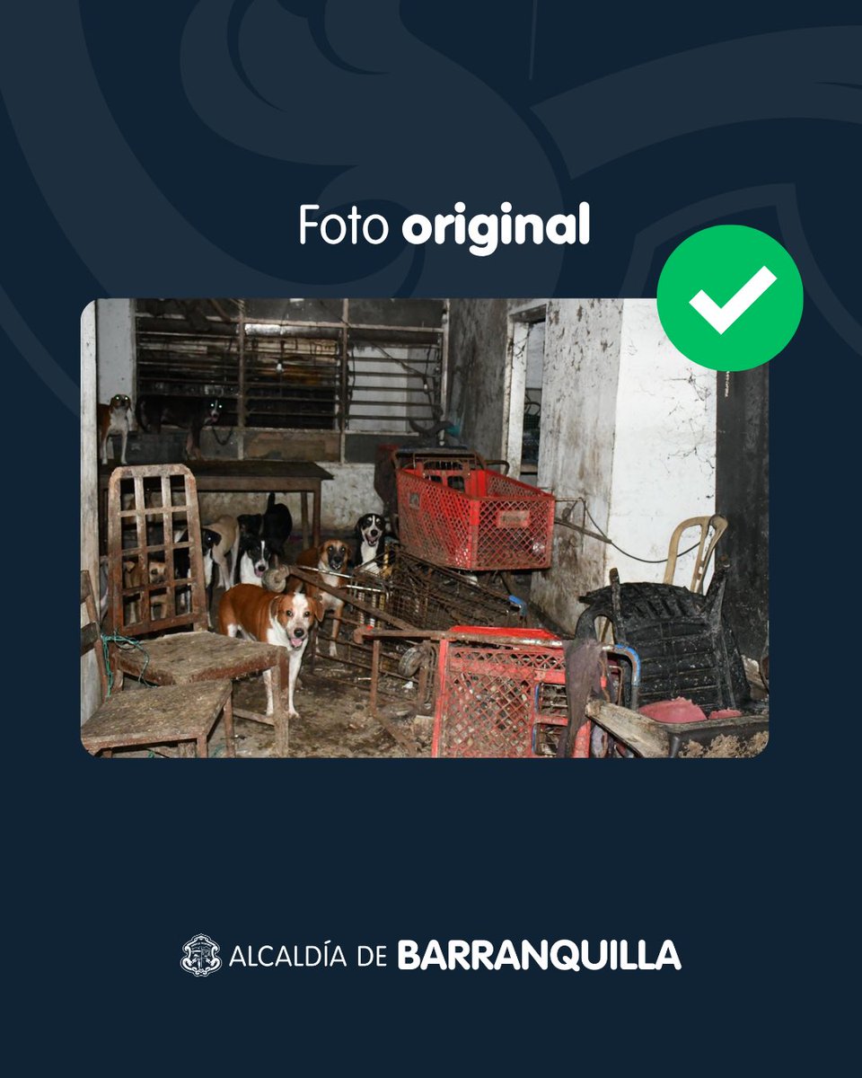 Alcaldía de Barranquilla tweet media