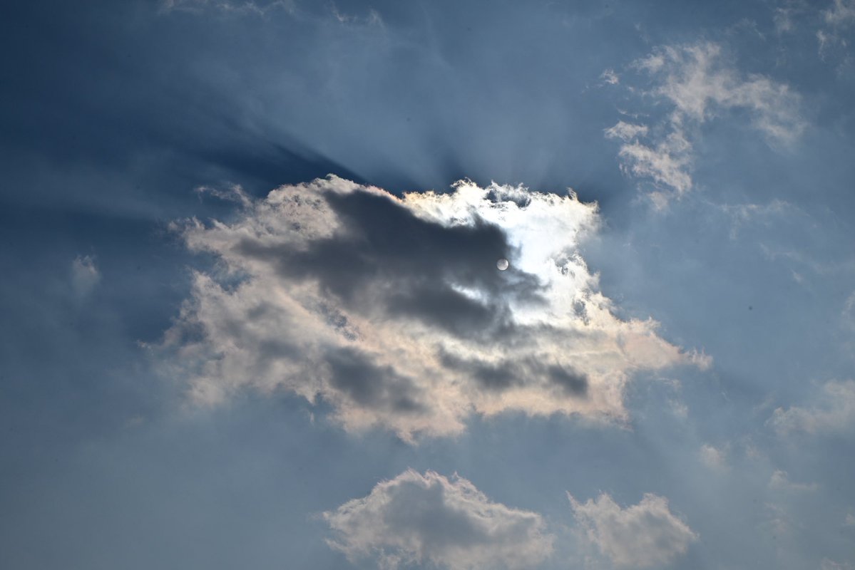 달리🐇 tweet media