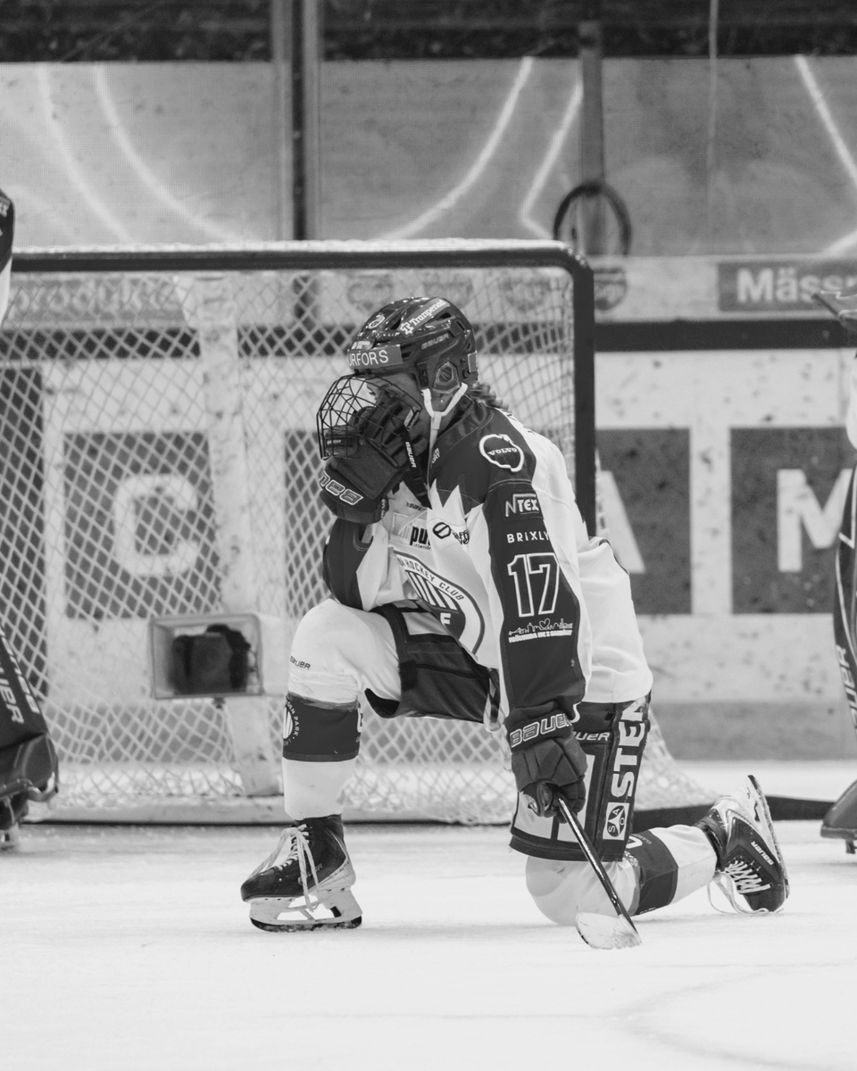 Svenska Spel Damhockeyligan tweet media