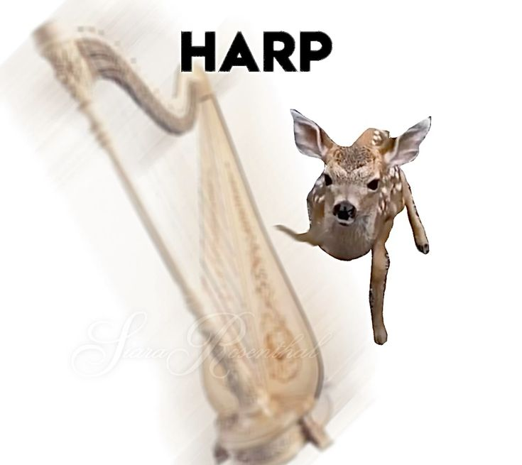 John fawn tweet media