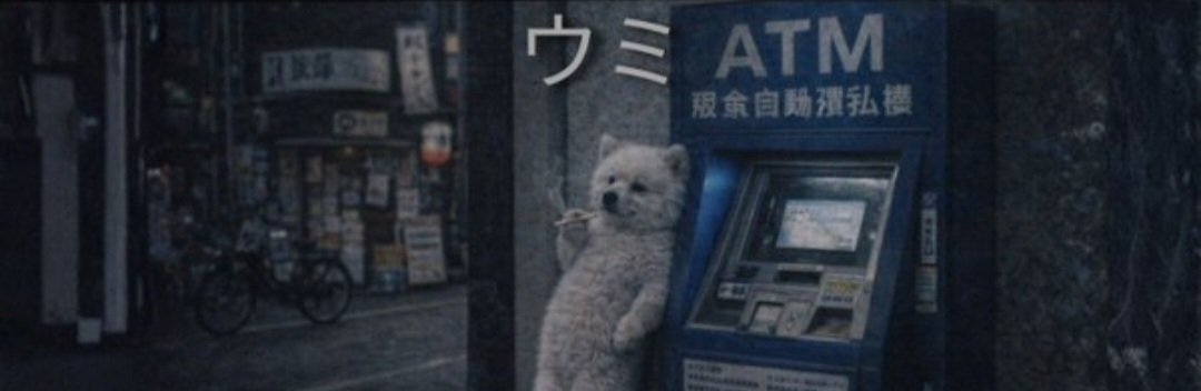 𝓓𝓲𝓶𝓼 𝓬𝓪𝓵𝓵𝓼 tweet media