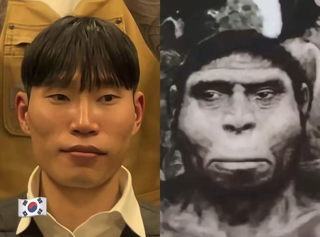 听取哇声一片 tweet media