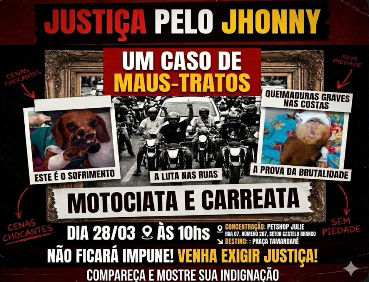 kaarolzx tweet media