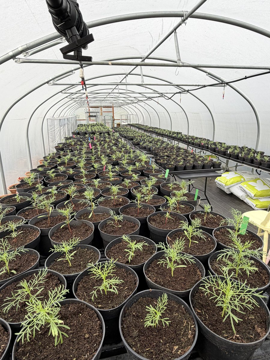 Jonathan Sheppard tweet media