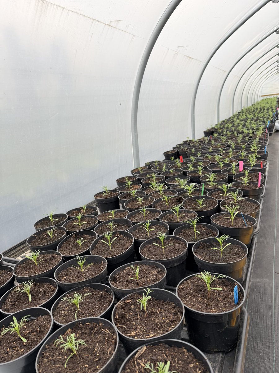 Jonathan Sheppard tweet media