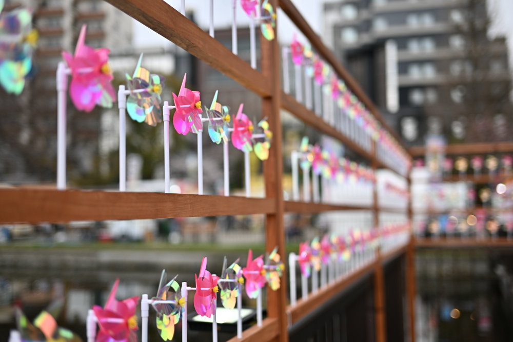 せんせい tweet media