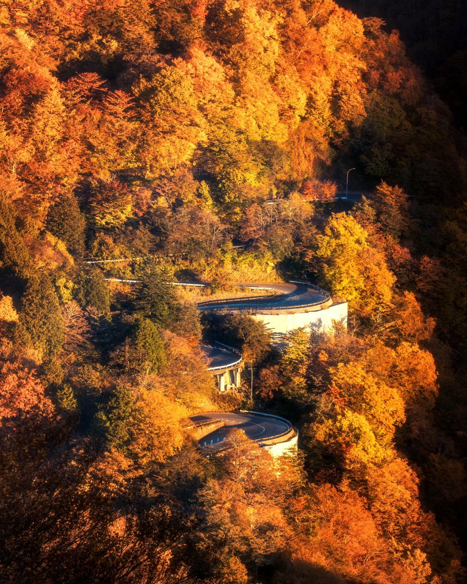 david baines tweet media