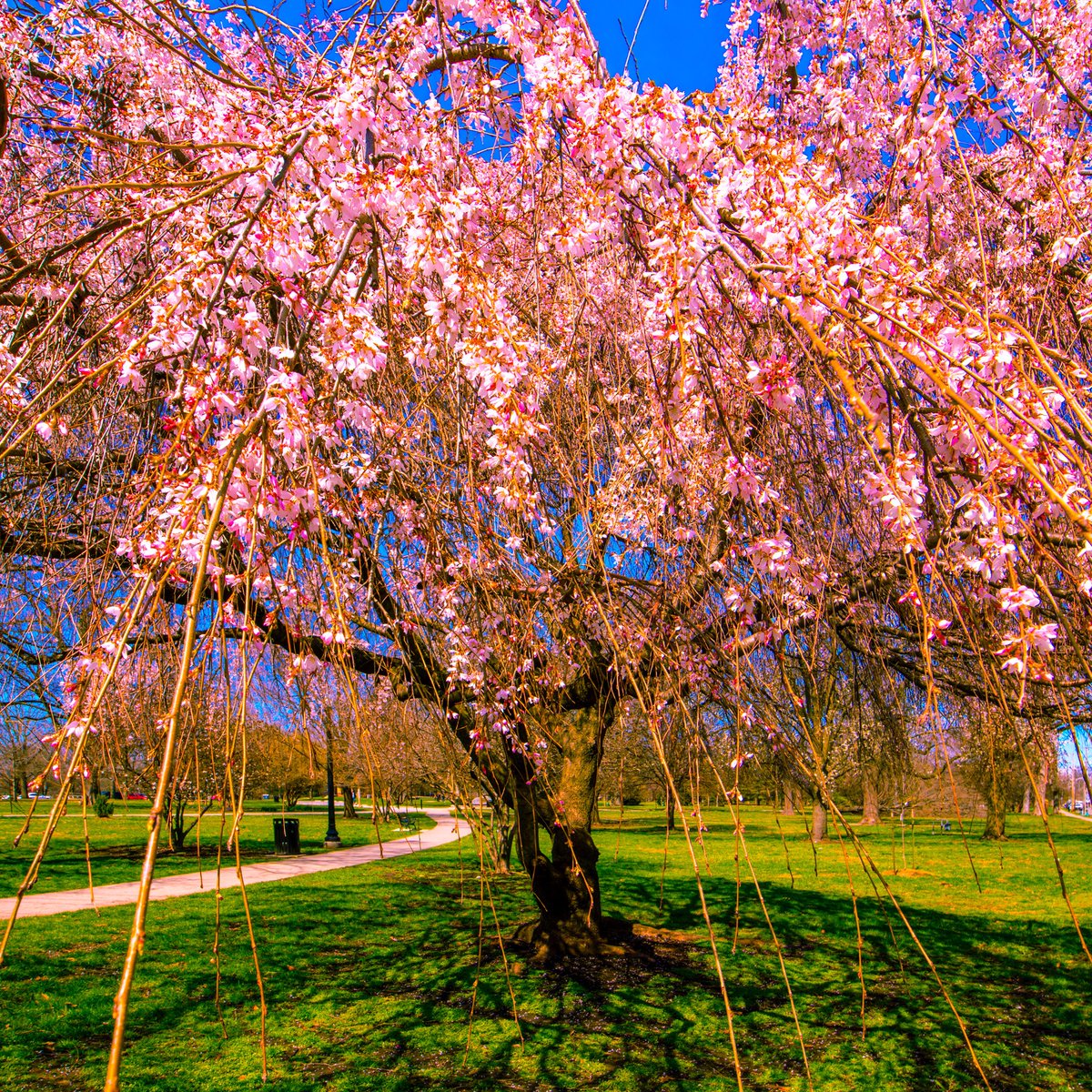 Andy Spessard tweet media