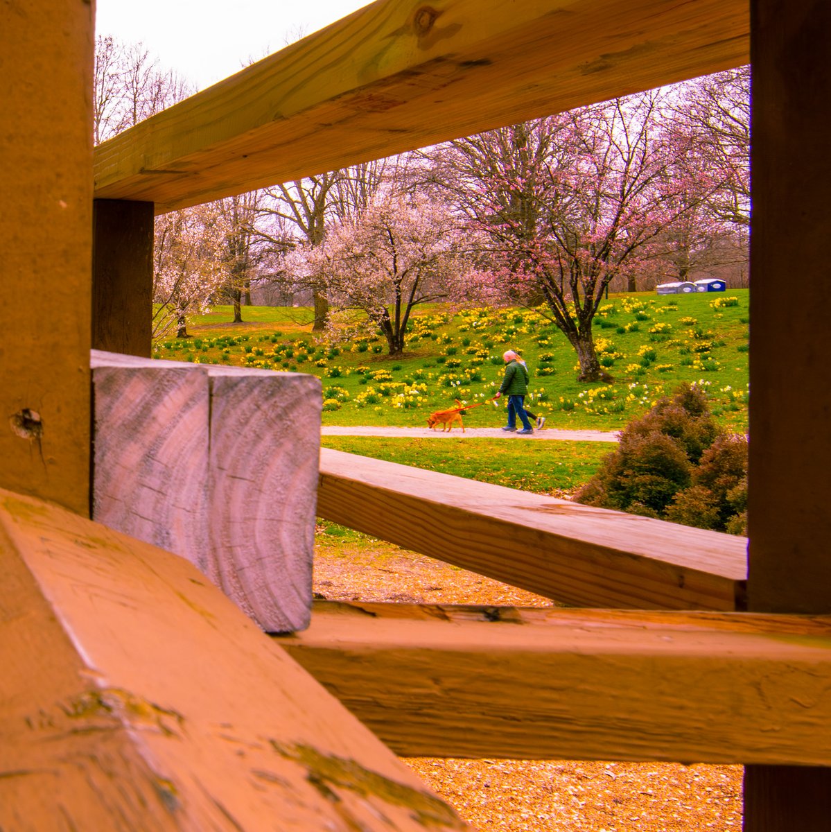 Andy Spessard tweet media