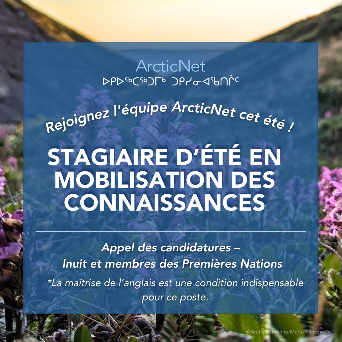 ArcticNet tweet media