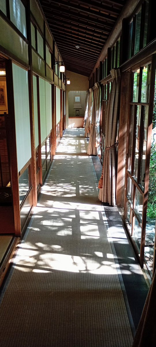 ちくわ Chikuwa tweet media