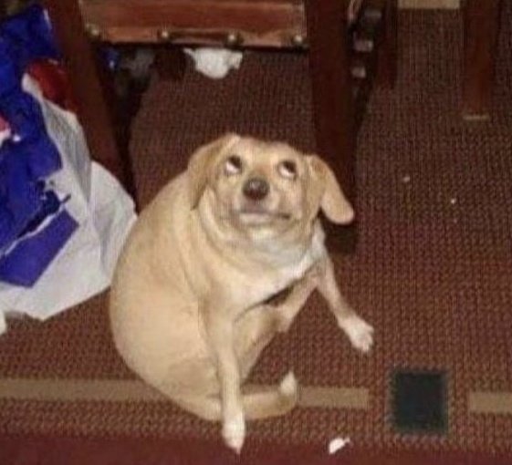 Matusa ☆ tweet media