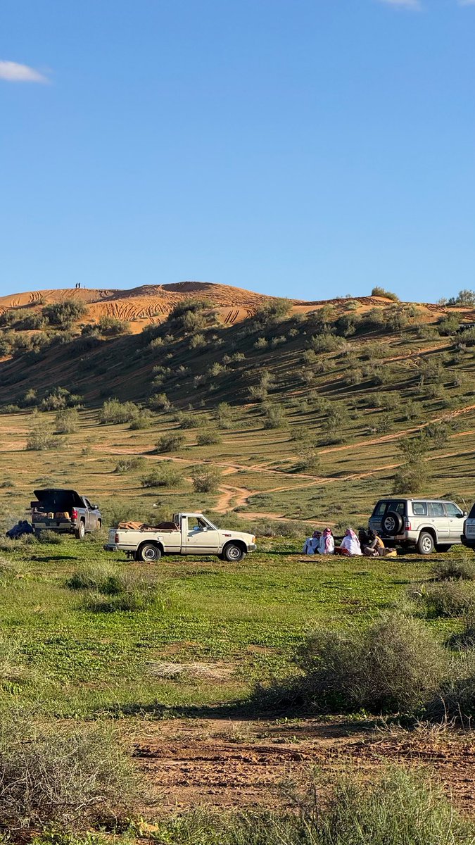 وما أدراك مالغضا 

أمتع ناظريك 😍

غضا عنيزه اليوم

٨ شوال ١٤٤٧ هـ

( تص وي ري )

#عنيزه