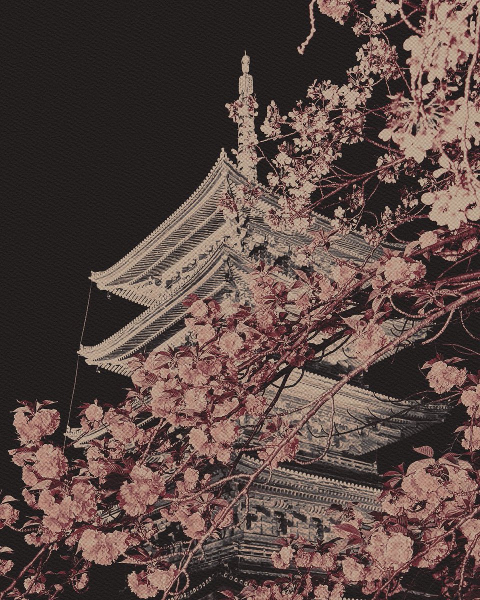 ᅠ ᅠ ᅠᅠ ᅠ ᅠ ᅠ ᅠ ╱╱ * 𝓵𝚞𝚌𝚛𝚎𝚣𝚒𝚊 。 tweet media