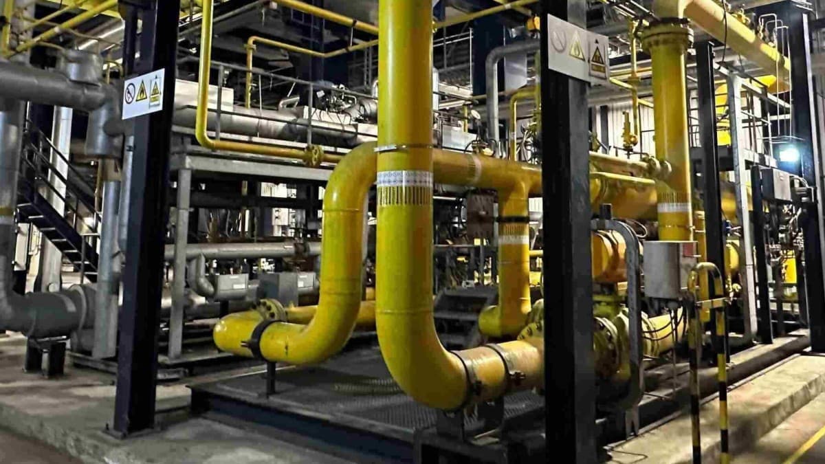 Dock Vulner tweet media