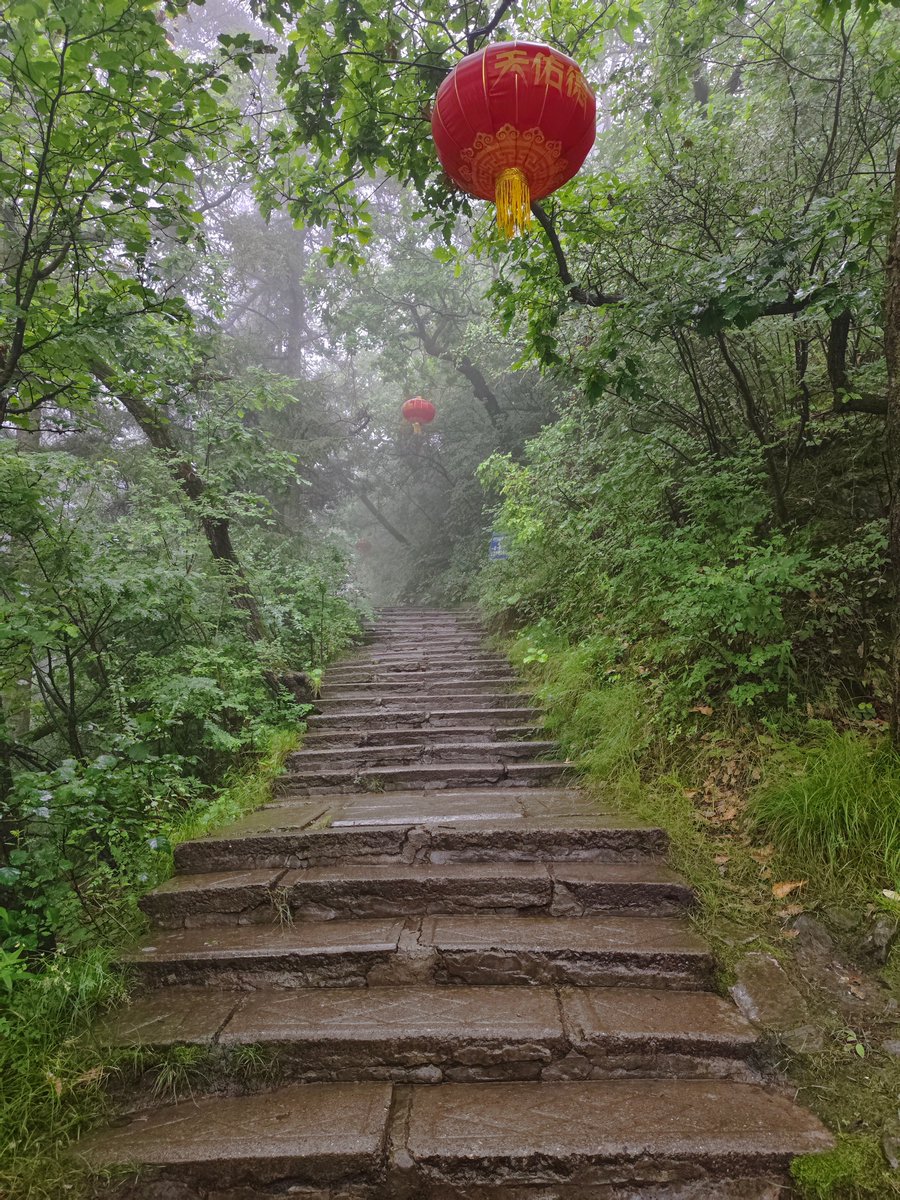 Roman Hurtado Suarez tweet media