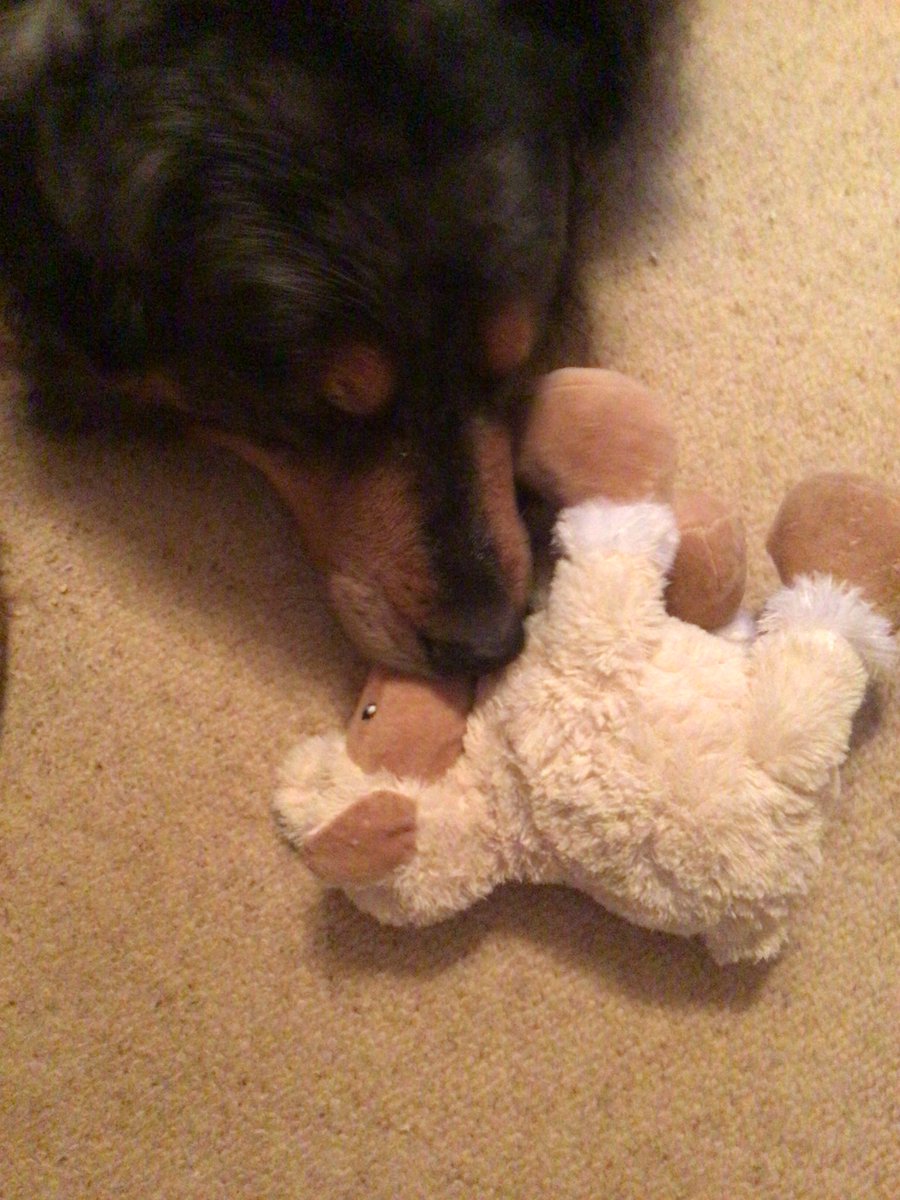 Janosch, Minister für Sofaangelegenheiten 🏅 tweet media