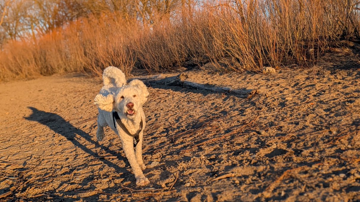 Effie White tweet media