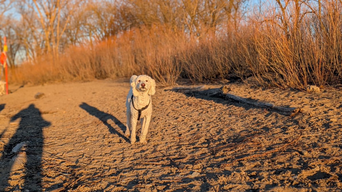 Effie White tweet media