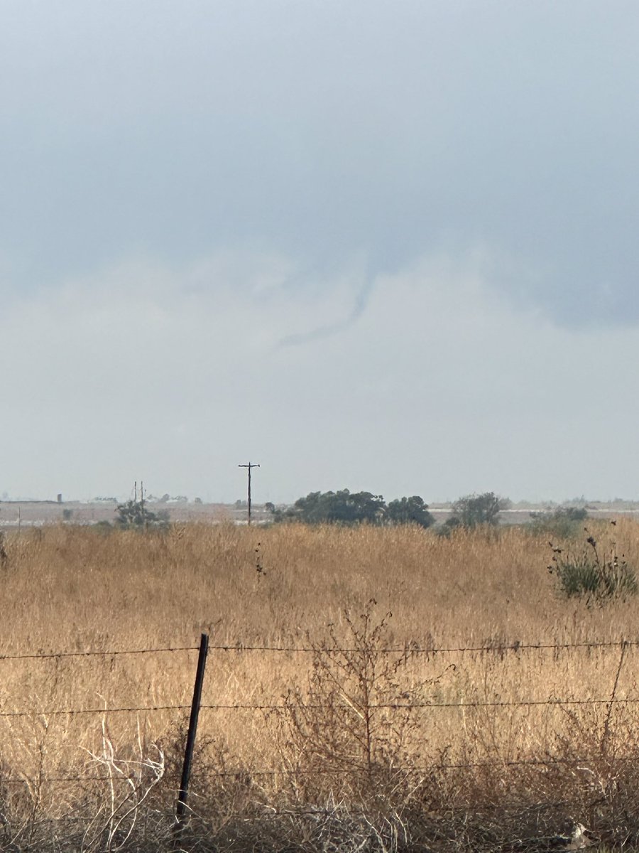 Cassie (is full of cans 😔) Frey tweet media