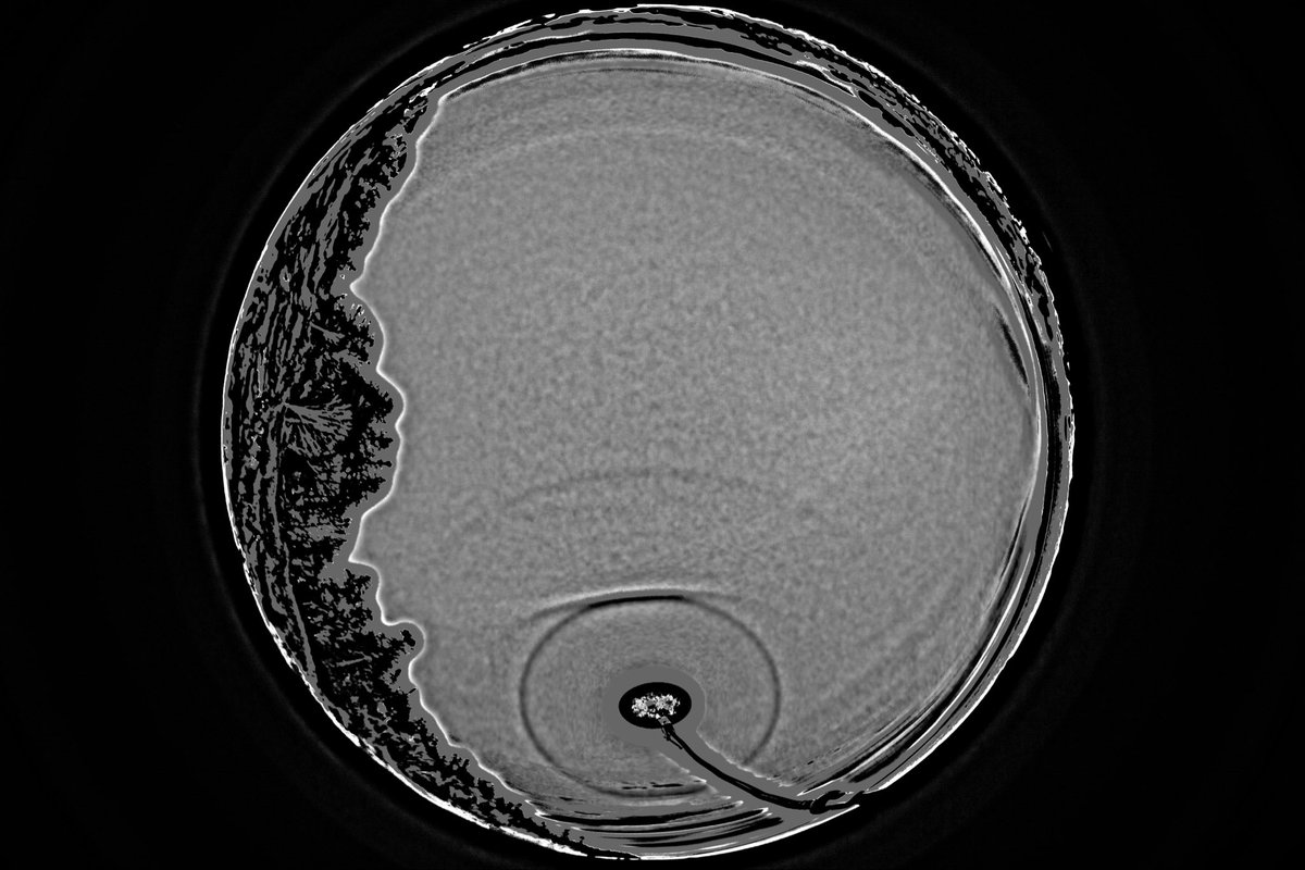 27 Mar. 2026, Vancouver

22° Halo, Parhelia, Tanarc, 46° Halo, Parhelic Circle

8 / 30 / 30 / 30 frames, ave stacked

Solar elevation was 39°. Yes there are more parhelic circles now.